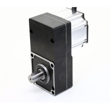 120W 12V 24V 48V 110V 220V Brushless DC Gear Motor for Advertising Gate